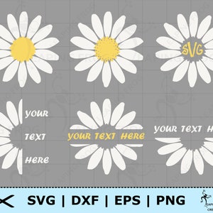 Daisy set SVG. PNG. Flowers. Cricut, Silhouette cut files. Monogram. Spring, Floral, Bundle, Set, Pretty. Instant download! DXF, eps.