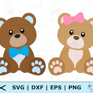 Bear SVG. PNG . Cricut Cut Files, Silhouette, layered files. Teddy Bear Boy, Girl. Cute. Zoo animals. Instant download. Baby bear. DXF, eps.