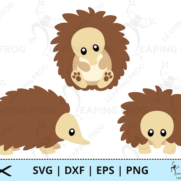Echidna SVG. PNG. Cricut cut files, layered. Silhouette files. Australian animals.  Baby, Cute, DXF, eps. Instant download.