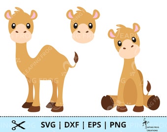 Camel SVG. PNG. Cricut cut files, layered files. Silhouette. Bundle, Set. DXF.  eps. Desert animals, hump, sitting, etc. Instant download.