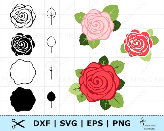 Beautiful Rose Rose SVG, Floral Svg, Flowers Svg, Rose Transparent PNG,  Rose Svg Cutout, Rose SVG Cutout, Rose Clipart
