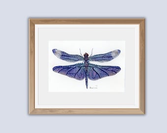 May include: A framed watercolor painting of a blue dragonfly with intricate wing details. The dragonfly is centered in the frame and the background is white.