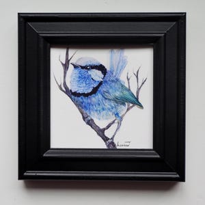 Fairy Wren Bird Giclee Print Of Original Watercolor Print/FRAMED PRINT/House Decor/Small Art 4x4/Gift/Mothers Day/Nature