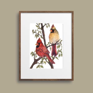 Cardinal Pair Watercolor Print: Nature Wall Art (5x7 Unframed)