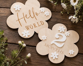 Hello World Birth Announcement Sign | Daisy Floral Baby Milestone Markers | Monthly Milestone Photo Prop (L135)