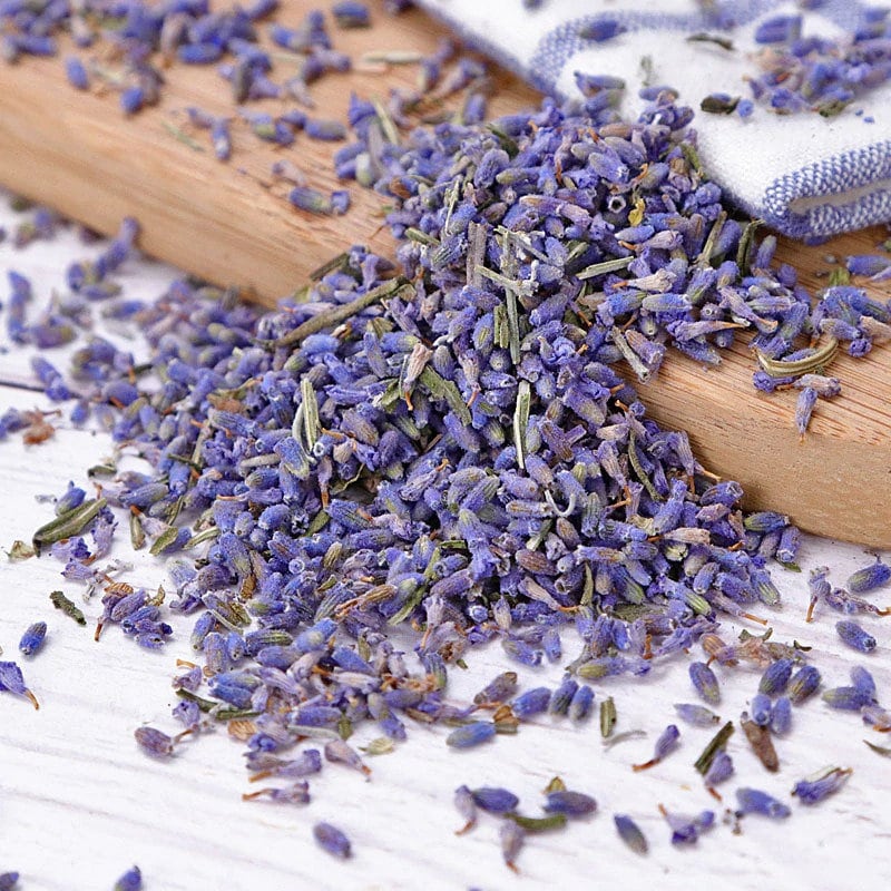 Dried Lavender Buds Whole, Organic, Long Lasting, Soothing Fragrance &  Aroma for Decoration, Soap Making, Air-freshening Free Shipping 