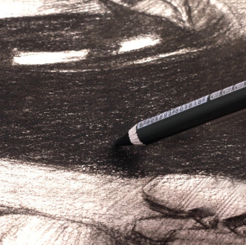 Pu&ograve; includere: Una matita di grafite nera con un'etichetta bianca che mostra una serie di numeri. La matita &egrave; appoggiata su un foglio di carta con un disegno a carboncino nero.