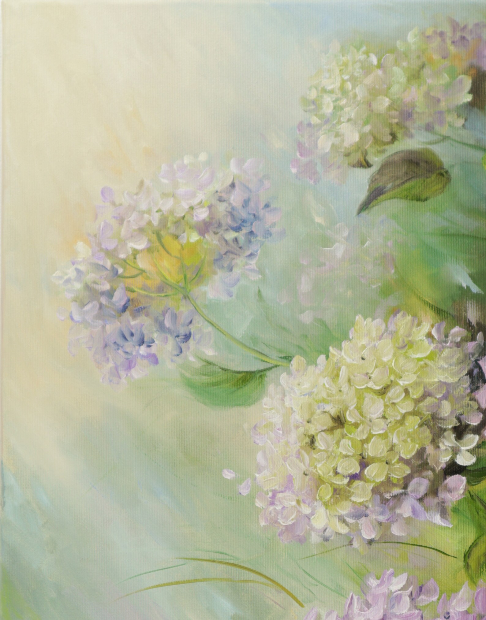 Interior Oil Painting on Canvas, Original Floral Painting, Hydrangea