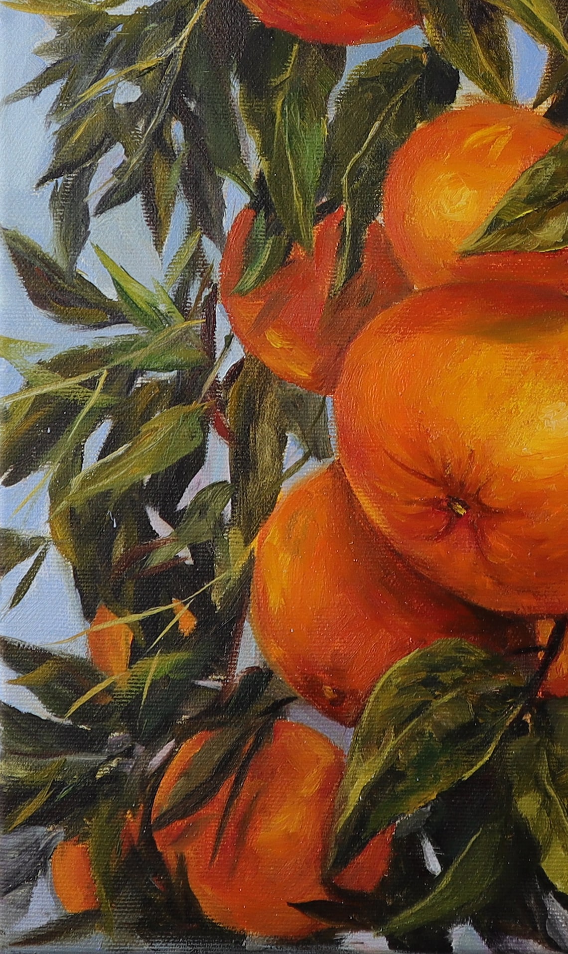 Original Oil Painting on Canvas Citrus Tree Orange Tree Etsy
