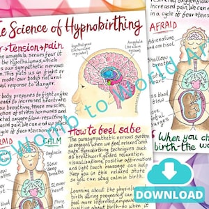 Science of Hypnobirthing Handouts PDF Printout | How Hypnobirthing Works | Birth Education Downloads | Doula Tools | Midwife | Birthworker