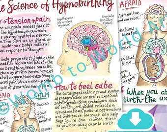 Science of Hypnobirthing Handouts PDF Printout | How Hypnobirthing Works | Birth Education Downloads | Doula Tools | Midwife | Birthworker