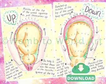 Hypnobirthing Labour Stages Watercolor Illustration: Doula Midwife Print (PDF Download)