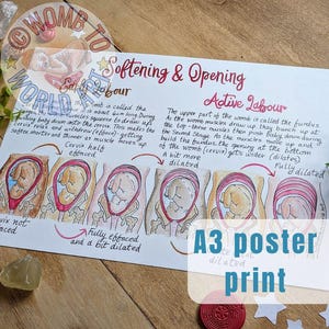 Póster tamaño A3 sobre hipnoparto, herramienta didáctica, suavizar y abrir, educación prenatal, doula, regalo de embarazo, cuidadora del parto