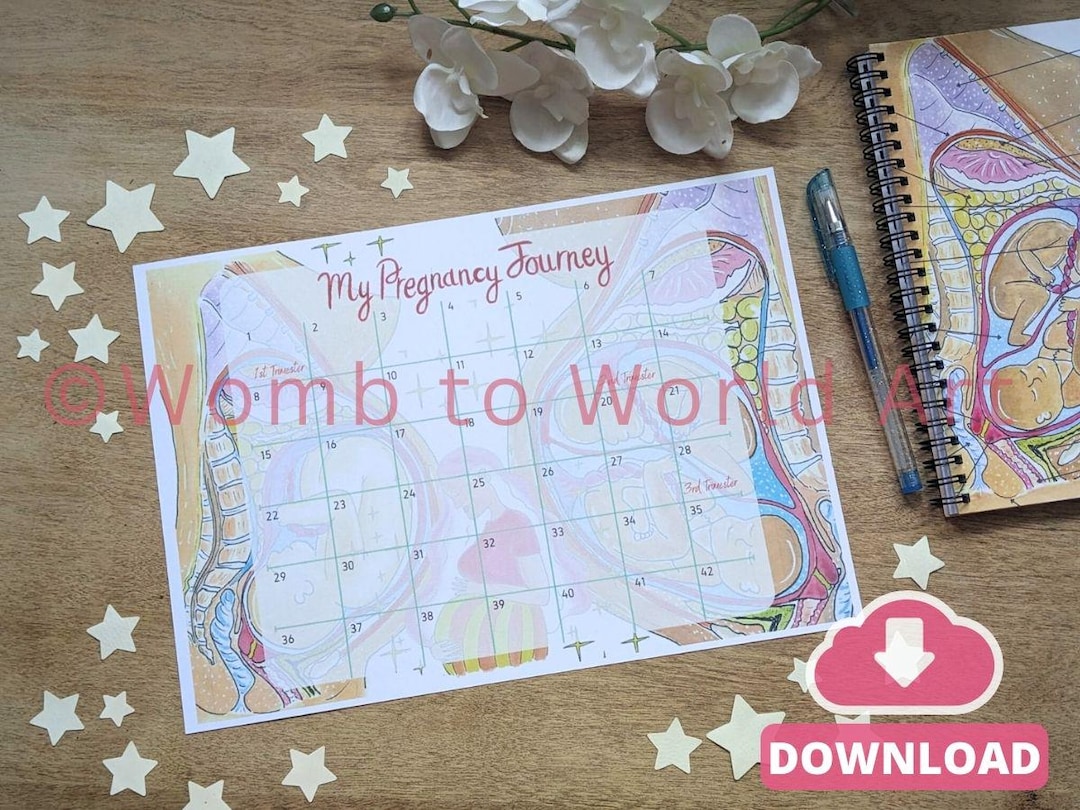 42 Weeks Pregnancy Countdown Calendar A3 PDF Download: Antenatal ...