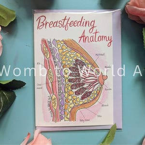 Carte d'anatomie du sein pour l'allaitement | Conseillère en lactation | Documents pédagogiques sur l'allaitement | Carte post-partum | Cadeaux pour les cours prénatals