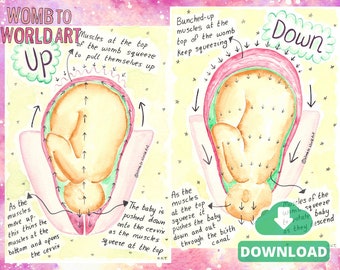 Hypnobirthing Illustrations Up and Down Stages of Labour | PDF Birth Education Downloads | Doula Tools | Midwife | Birthworker | Antenatal