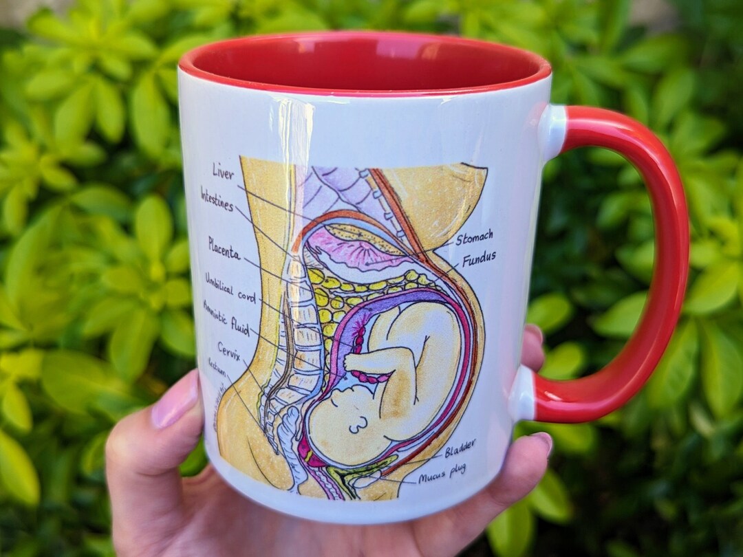 Student Midwife Mug | Birth Art | Doula Gift | Midwife | Pregnancy Mug ...