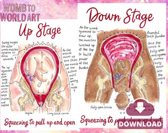 Up and Down Stages Birth Hypnobirthing PDF Diagram | Soften and Open Labor Art | Childbirth Education Downloads | Doula Printouts | Midwife