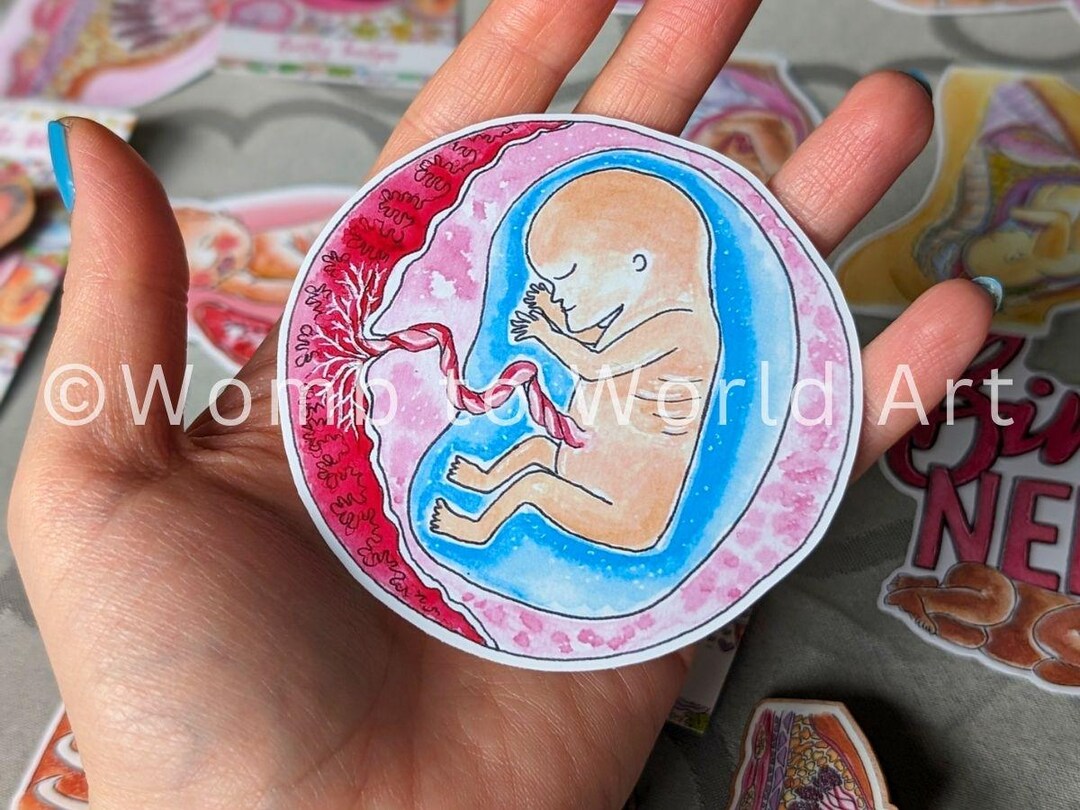 12 Week Fetus Sticker 8cm | Midwife Stickers | Doula Thank You | Baby ...