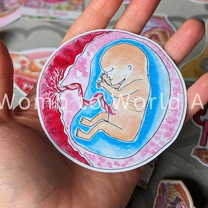 Naklejka na 12-tygodniowy płód 8 cm | Naklejki położnej | Doula Thank You | Dziecko w łonie matki | Doula poporodowa | Naklejki na laptopa dla studentki położnej