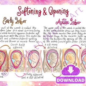 Folletos en PDF de Hipnoparto para Suavizar y Abrir / Dilatación Cervical / Descargas de Educación para el Nacimiento / Doula / Partera / Arte del Útero al Mundo