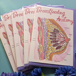Paquete de 5 tarjetas para clientes de anatomía mamaria de IBCLC, apoyo para la lactancia materna, folletos para consultores de lactancia, tarjeta posparto y obsequios prenatales