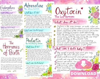 Hormones of Birth Hypnobirthing Handout: Doula Antenatal Education (PDF)