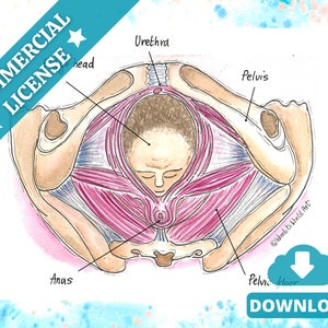 Bekkenbodemkroning Bevalling A4 PDF-afbeelding | Prenatale geboorte-educatie afdruk | Doula-downloads | Verloskundige | Bevalling afdrukken