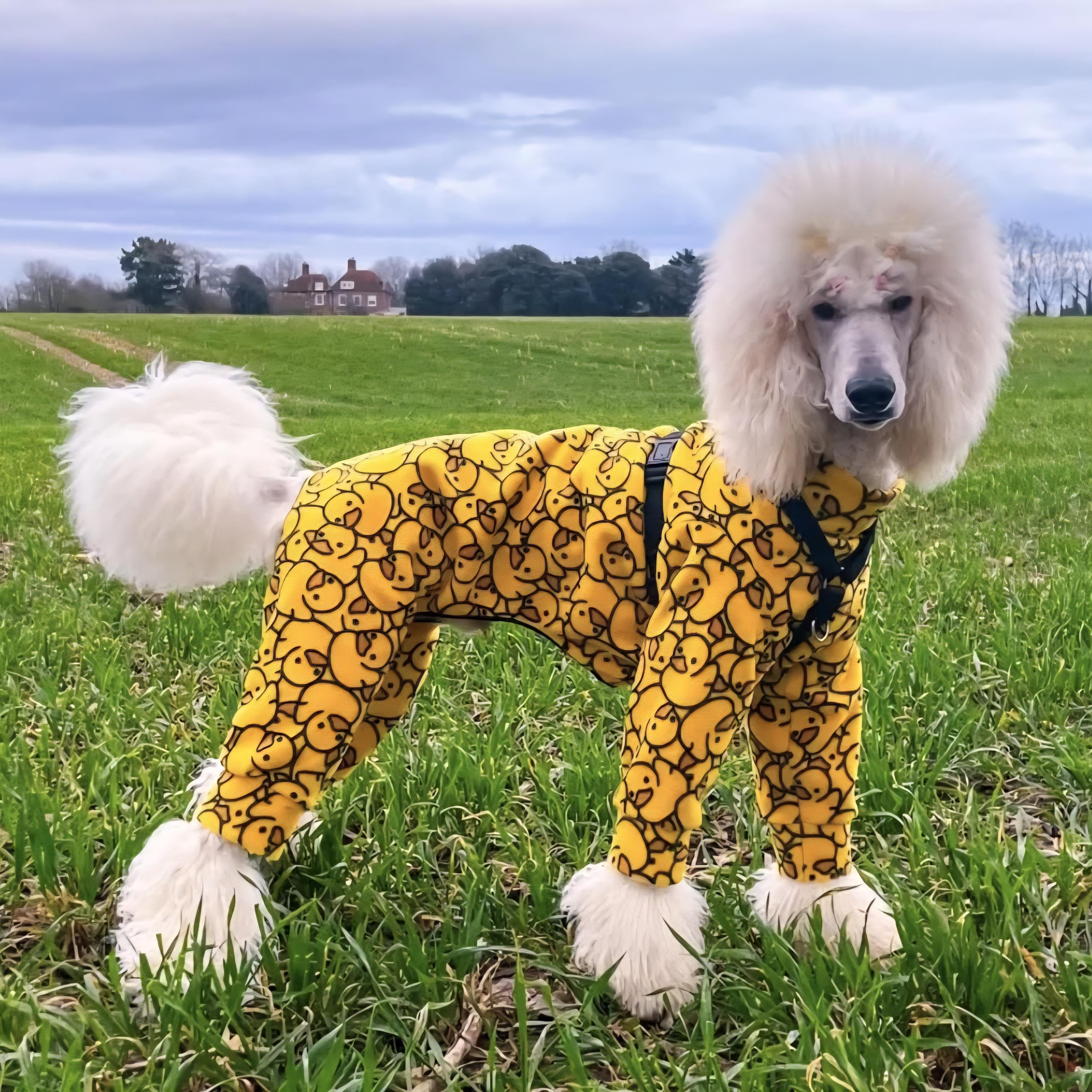 犬用フリーススーツ フリース ラバーダックデザイン 防水