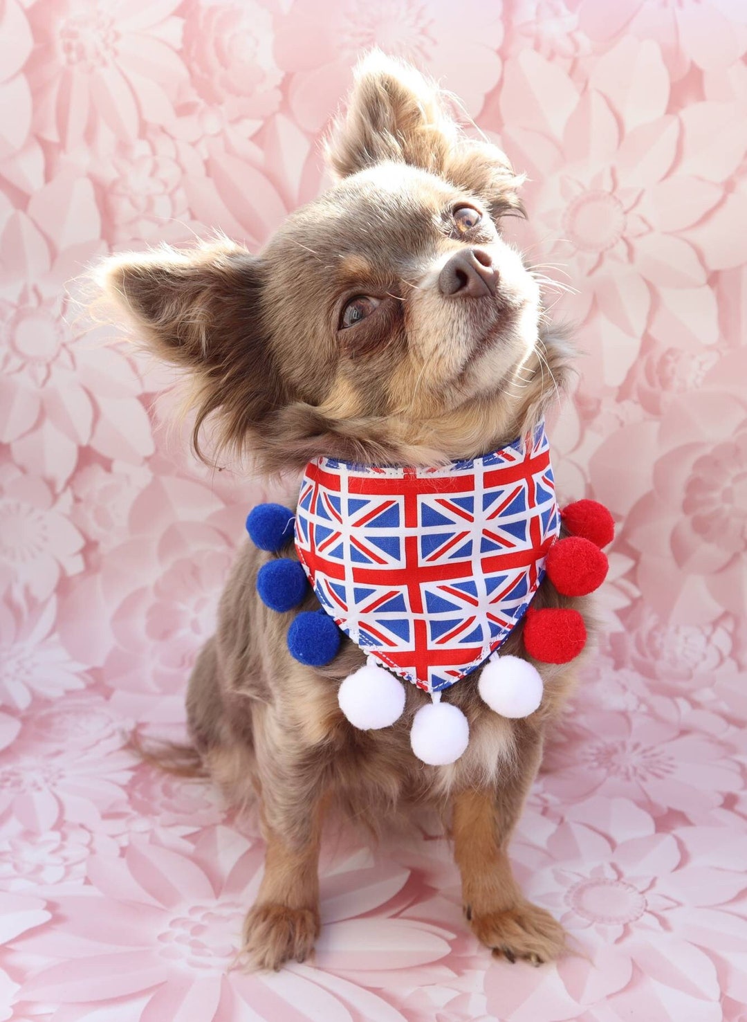 Dog Bandana Union Jack Red White Blue Fabric With Pom Pom Trim Etsy
