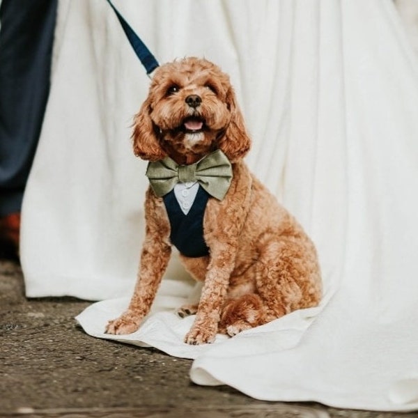 Tuxedo Wedding Dog Harness in Navy Blue Colour Silk Satin Bow Wedding Dog Tuxedo Chest Harness CHOICE of COLOURS