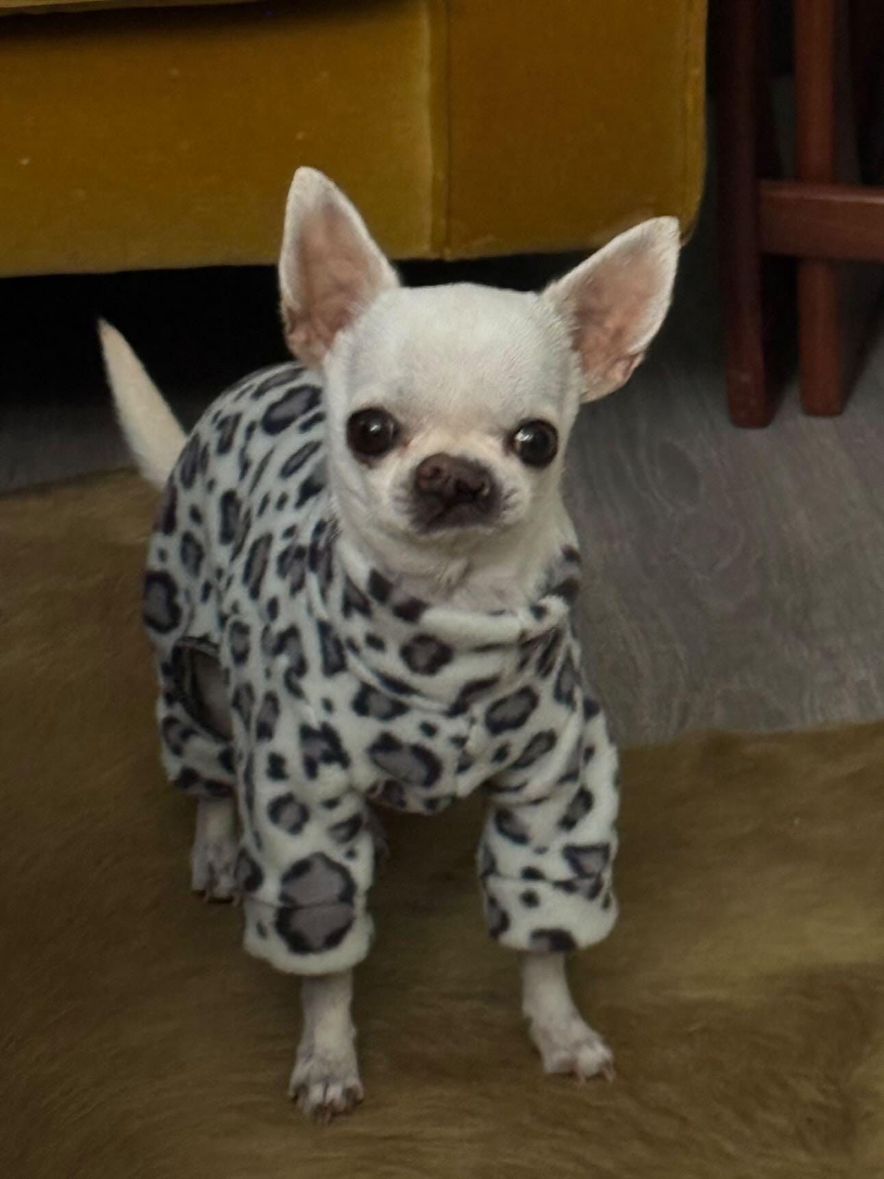 犬柄フリースルームウェア 犬用フリーススーツ フリース 雪豹柄デザイン 防水フリーススーツ