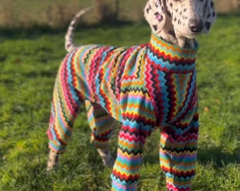 Dog Fleece Suit Fleece Bright Zig Zag Print Design Waterproof Personalized Dog Pajamas Pyjamas Also Available as a Jumper Tank or Coat