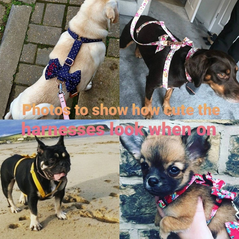 Dog Harness in Black Daisy Ditsy Floral with Cute Bow Etsy