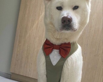 Tuxedo Wedding Dog Harness in Sage Green Silk Satin with Rust Orange Bow Wedding Dog Tuxedo Outfit Chest Harness CHOICE of COLOURS  Best Dog