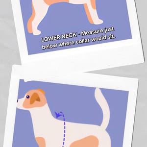 Ivory Wedding Dog Harness in Ivory White Silk Satin with Sailor Bow and Pearls Wedding Dog Outfit CHOICE COLOURS Made to Measure Bridesmaid image 7