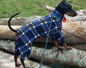May include: A black and tan dog wearing a blue, black, and white plaid dog onesie. The dog is standing on a pile of logs, with a blue leash attached to a collar with the name "Raia" on it.