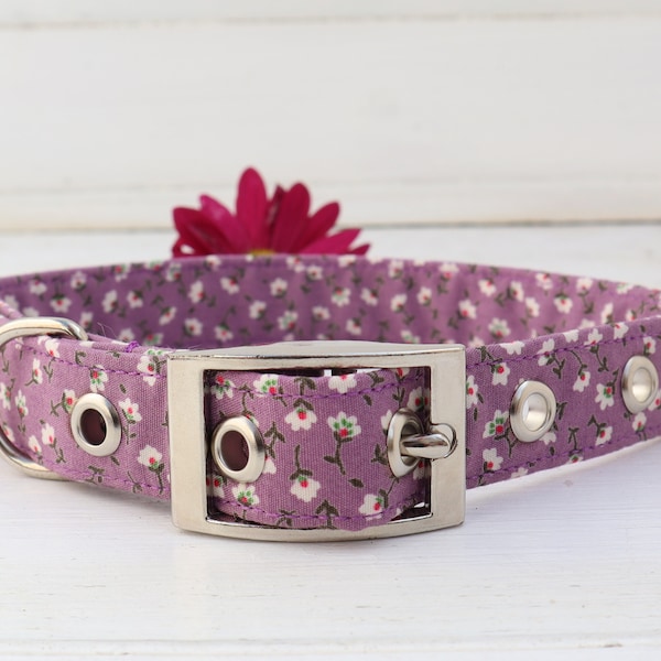 Belt Buckle Dog Collar in Mauve Purple Disty Floral Design Traditional Metal Buckle