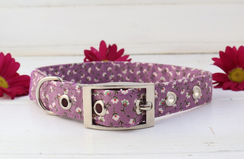 Belt Buckle Dog Collar in Mauve Purple Disty Floral Design Traditional Metal Buckle image 1