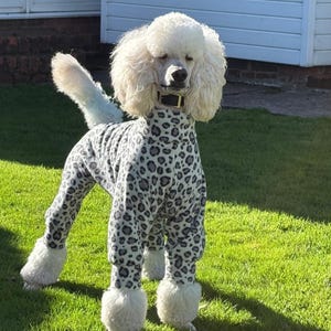 Standard Poodle Dog Winter Coat - Etsy Canada