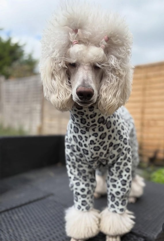 犬柄フリースルームウェア 犬用フリーススーツ フリース 雪豹柄デザイン 防水フリーススーツ