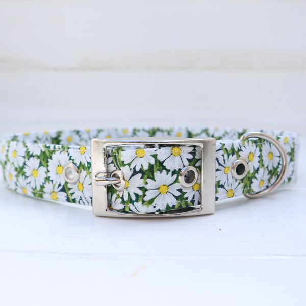Belt Buckle Dog Collar in Daisy Floral Design Traditional Metal Buckle