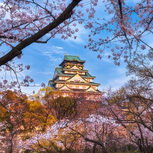Osaka Castle Japan Print, Cherry Blossoms, Japan Wall Decor, Osaka Photo, Castle Wall Art, Sakura