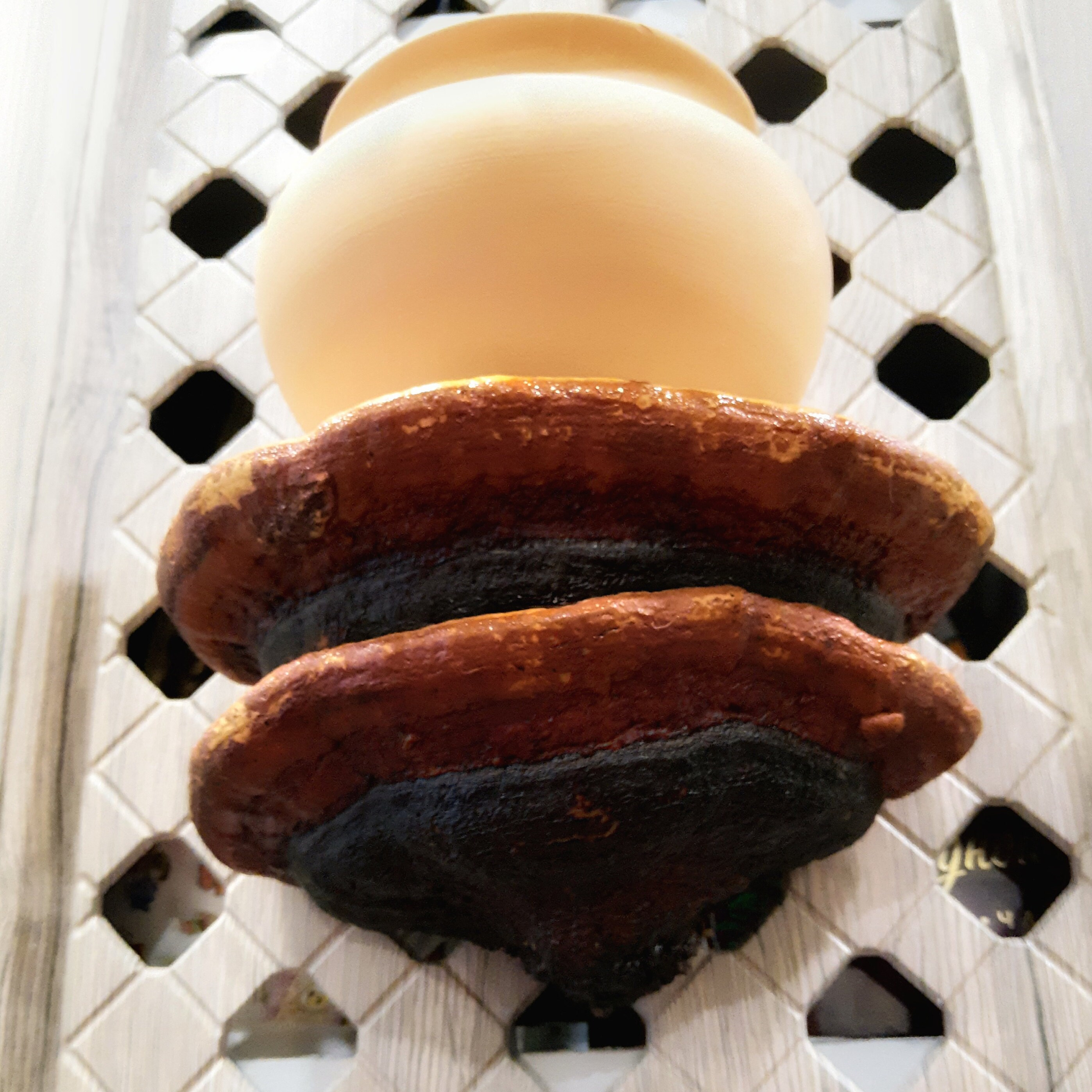 Floating shelves Mushroom shelves forest decor shelf Etsy