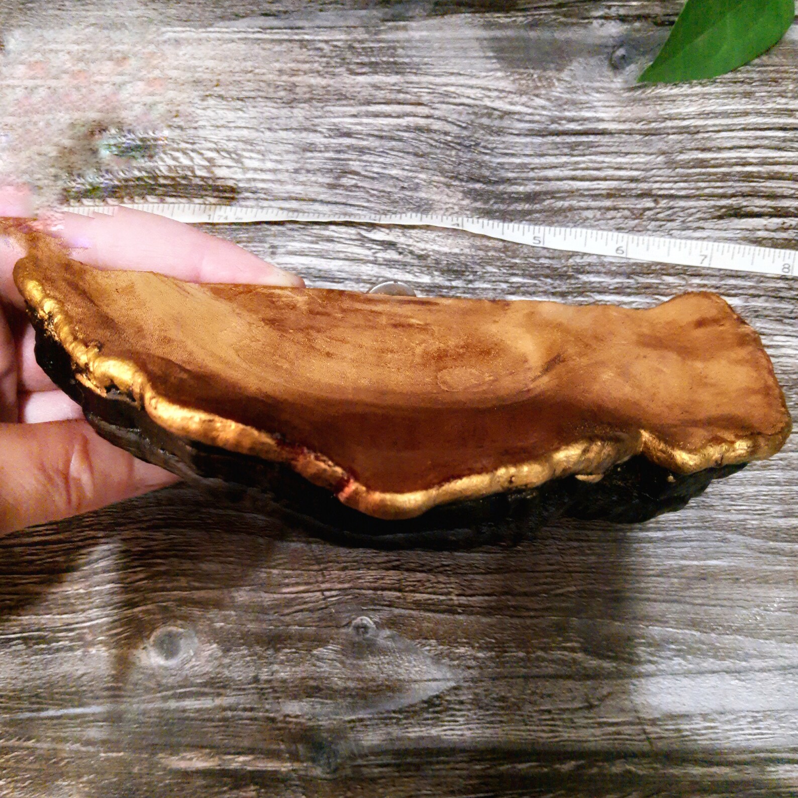 Decorative mushroom shelves shelf decor Mushroom Shelf Forest Etsy