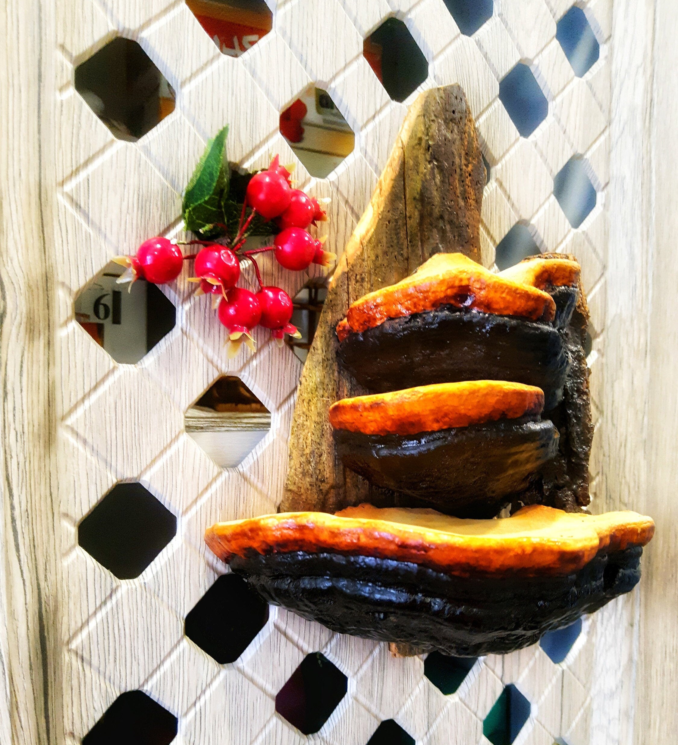 Decorative mushroom shelves shelf decor Mushroom Shelf Forest Etsy