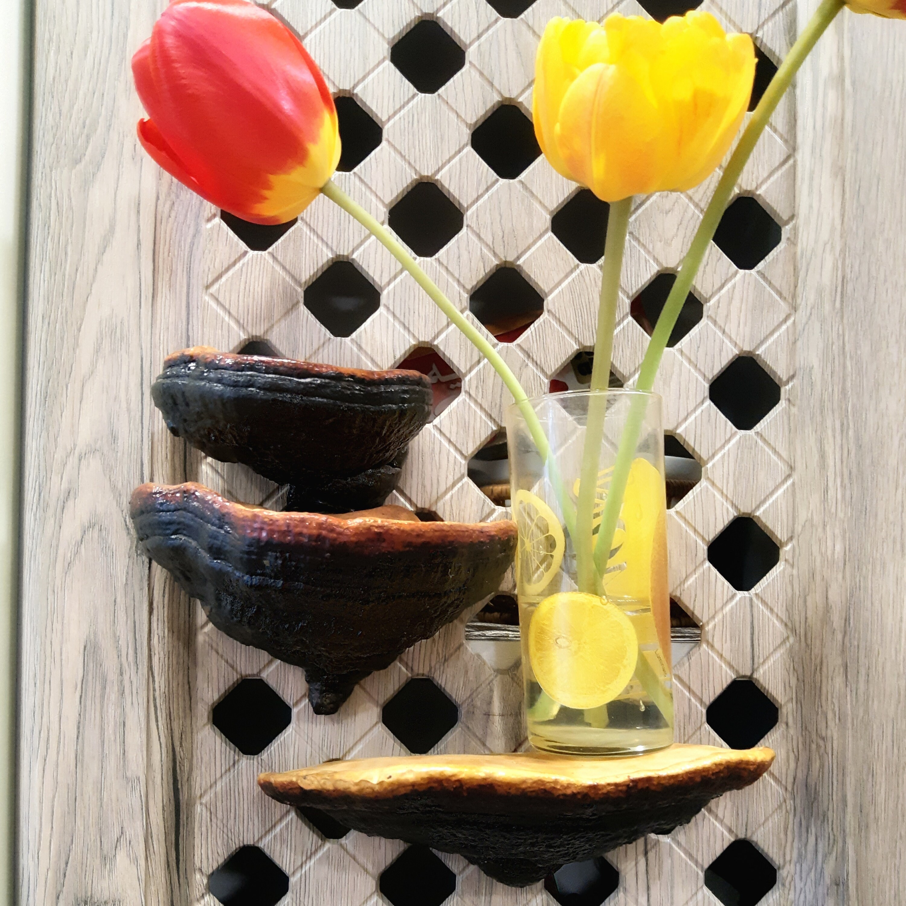 Mushroom Shelf Decor Shelf Fungus Shelves Forest Decor Etsy