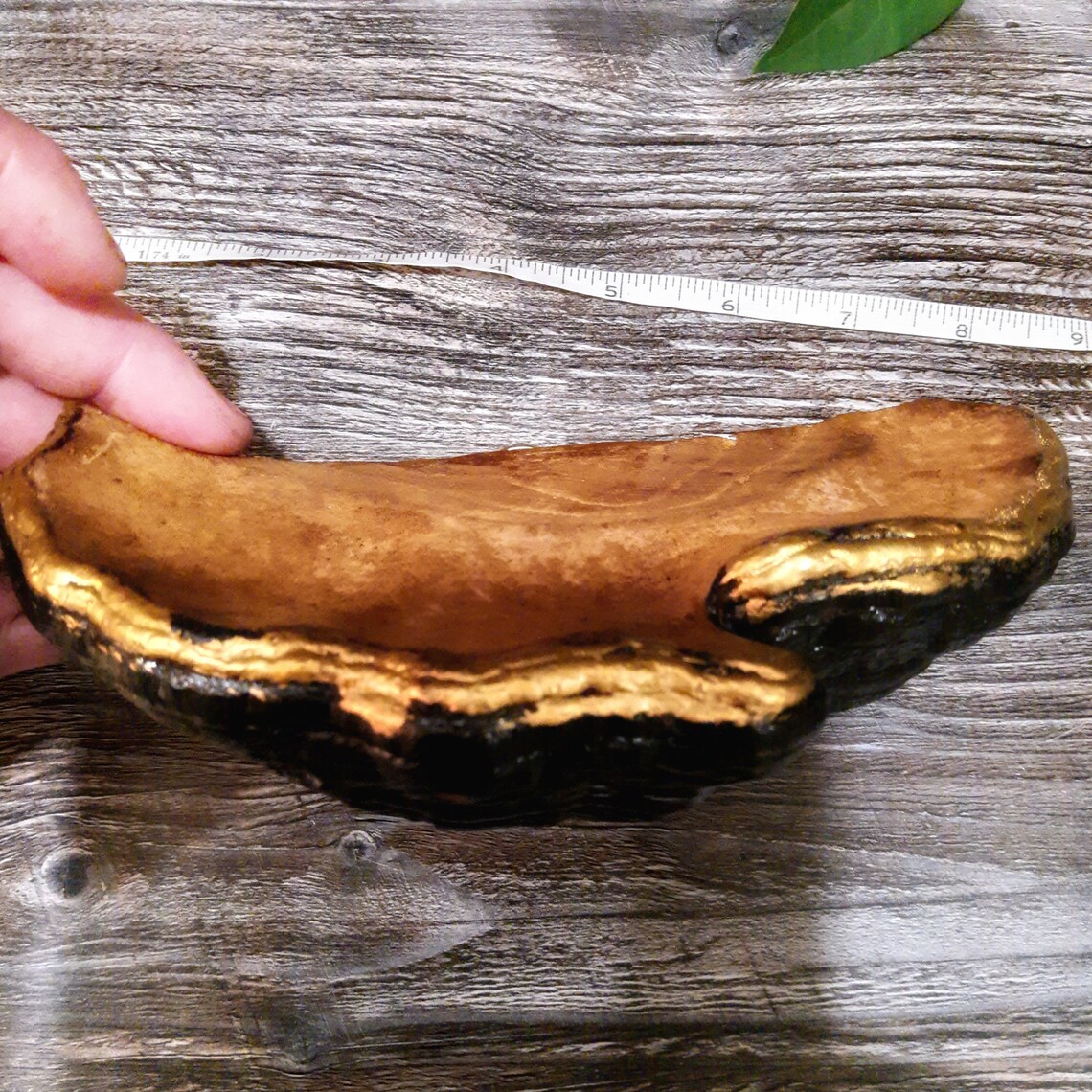 Decorative mushroom shelves shelf decor Mushroom Shelf Forest Etsy