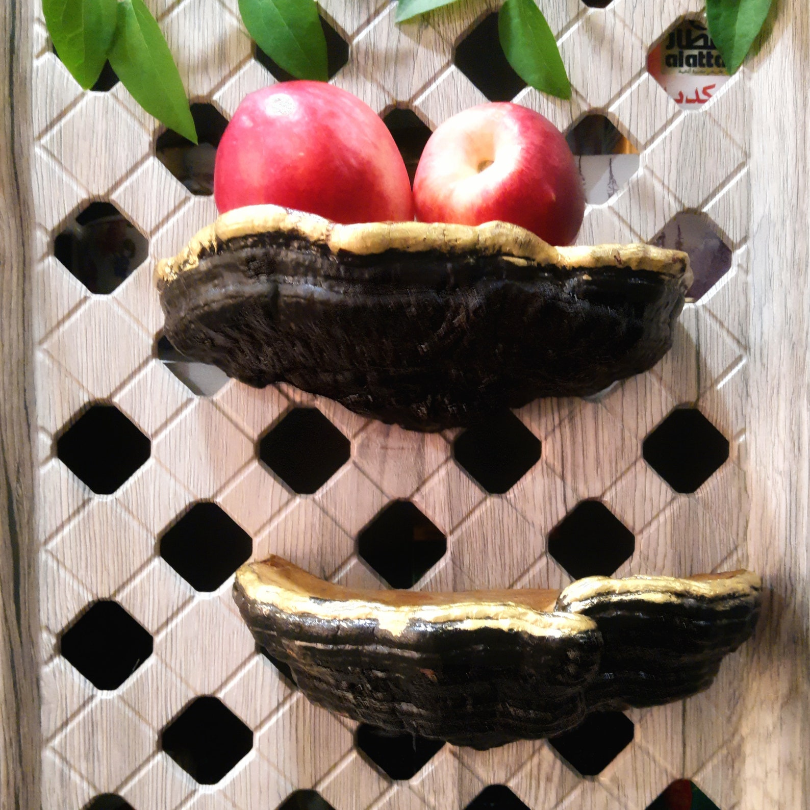 Decorative mushroom shelves shelf decor Mushroom Shelf Forest Etsy