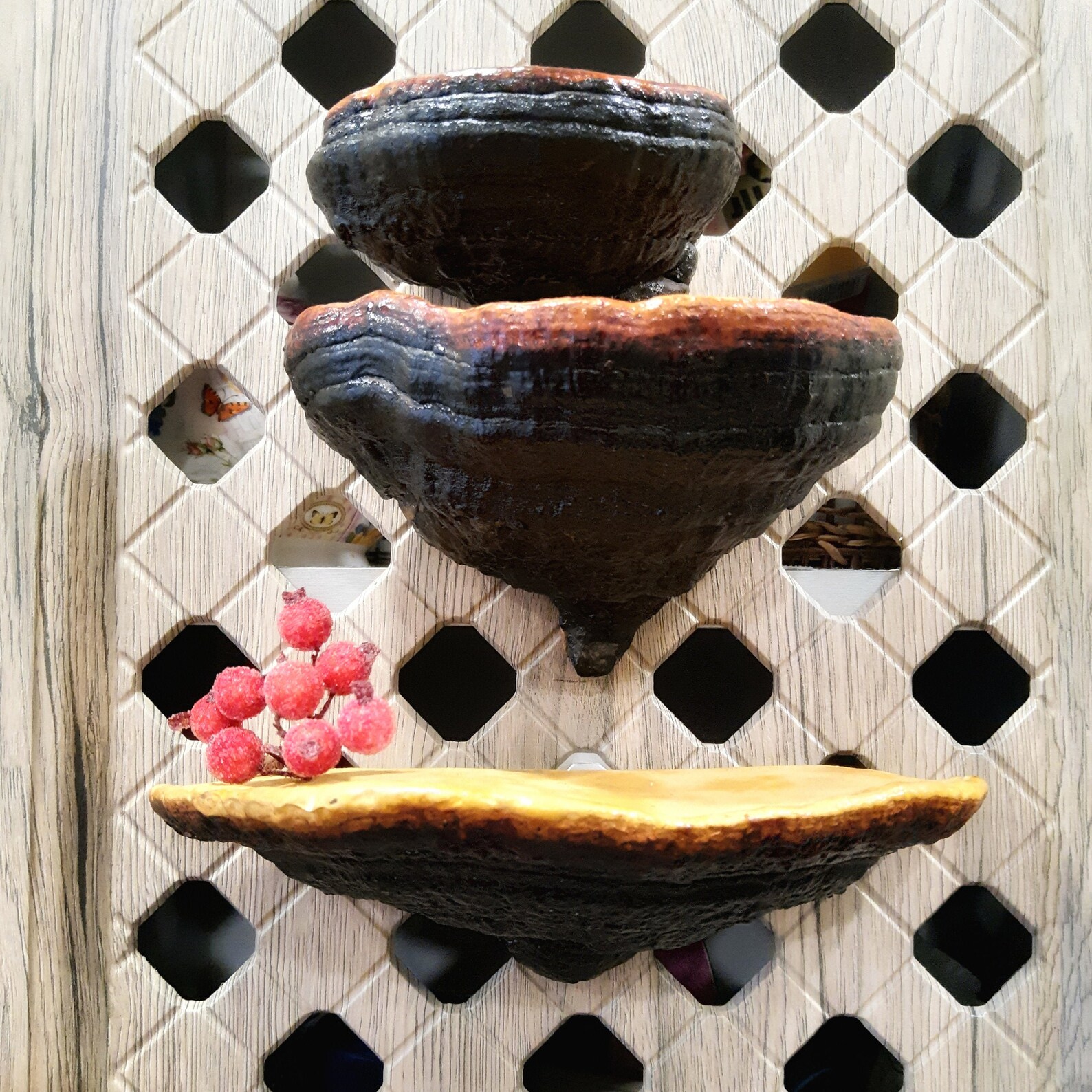 Mushroom Shelf Decor Shelf Fungus Shelves Forest Decor Etsy